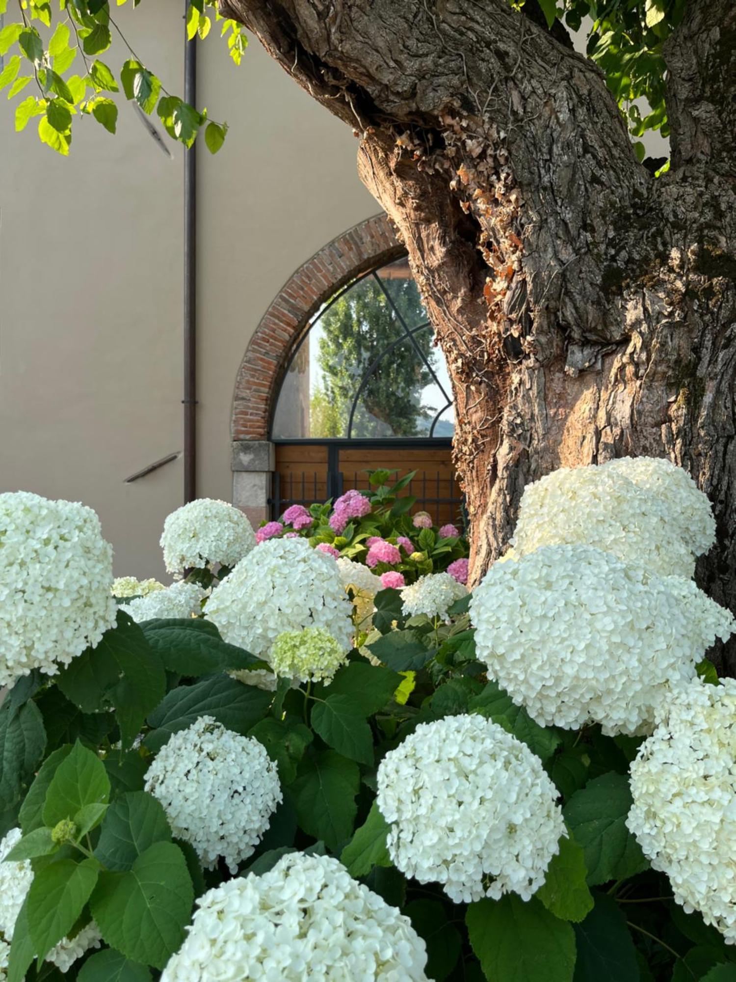 Casa Perazzolo Villa Montecchia di Crosara Bagian luar foto